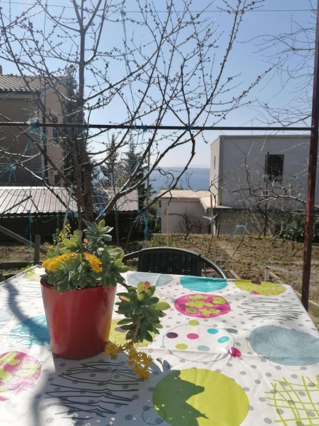 Apartments Olgi - Free Parking Crikvenica Ngoại thất bức ảnh
